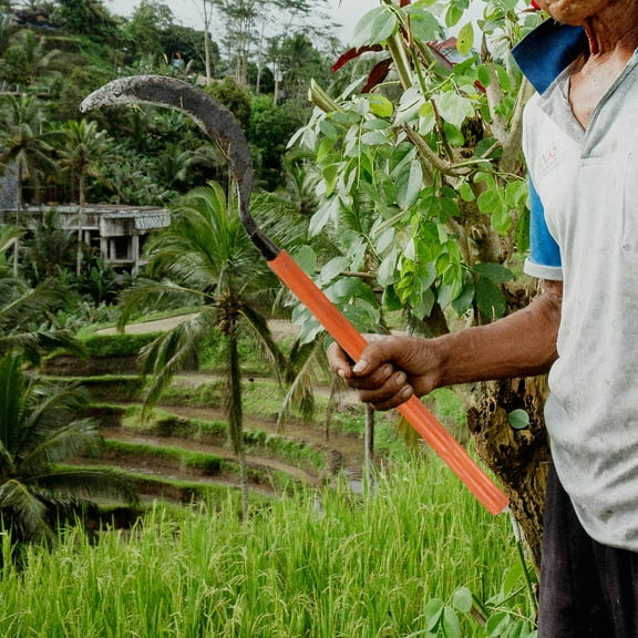 WHAMVOX Wooden Tool Handles for Shovels Sickles Hoes Hammer Gardening Tools 1 Set Replacement Grips