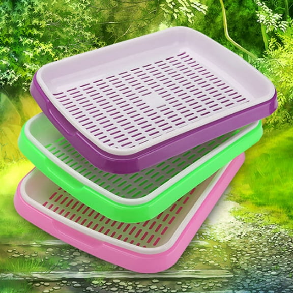 WHAMVOX sprouter Tray for Planting Healthy Wheatgrass Grower with Ventilated Grid Design 35x26x5cm Green