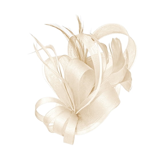 WHEANG Fascinator Hats for Women Elegant Mesh Floral Headpiece for Derby Tea Party Wedding Ball Bridal Cocktail Hair Fascinator Lightweight Clip On Formal Hair Accessory Beige Size One Size