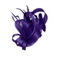 thumbnail image 1 of WHEANG Fascinator Hats for Women Elegant Mesh Floral Headpiece for Derby Tea Party Wedding Ball Bridal Cocktail Hair Fascinator Lightweight Clip On Formal Hair Accessory Purple Size One Size, 1 of 4