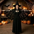 thumbnail image 1 of WHEANG Halloween Cape Shawl for Women Men Poncho Spooky Spiderweb Accessory for Party Dress‑up Stylish Spider Web Sheer Mesh Witch Cape Shawl One Size Black, 1 of 4