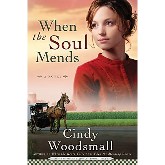 Pre-Owned When the Soul Mends: Book 3 in the Sisters of the Quilt Amish Series (Paperback) 1400072948 9781400072941