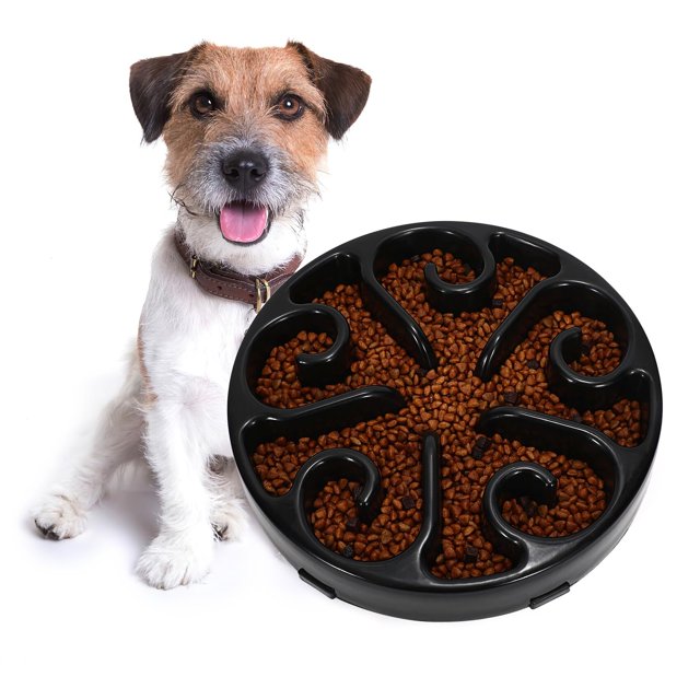 WHIPPY Slow Feeder Dog Bowl, NonSlip Pet Feed Bowl, AntiChoking Dog