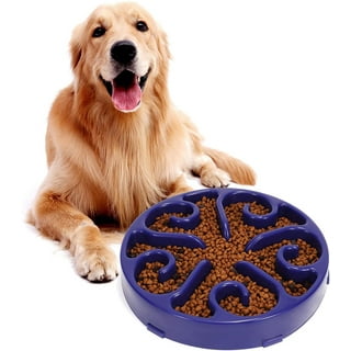 Opolski Slow Feeder Dog Bowl Anti-choking Pet Bowl Non-Slip Large