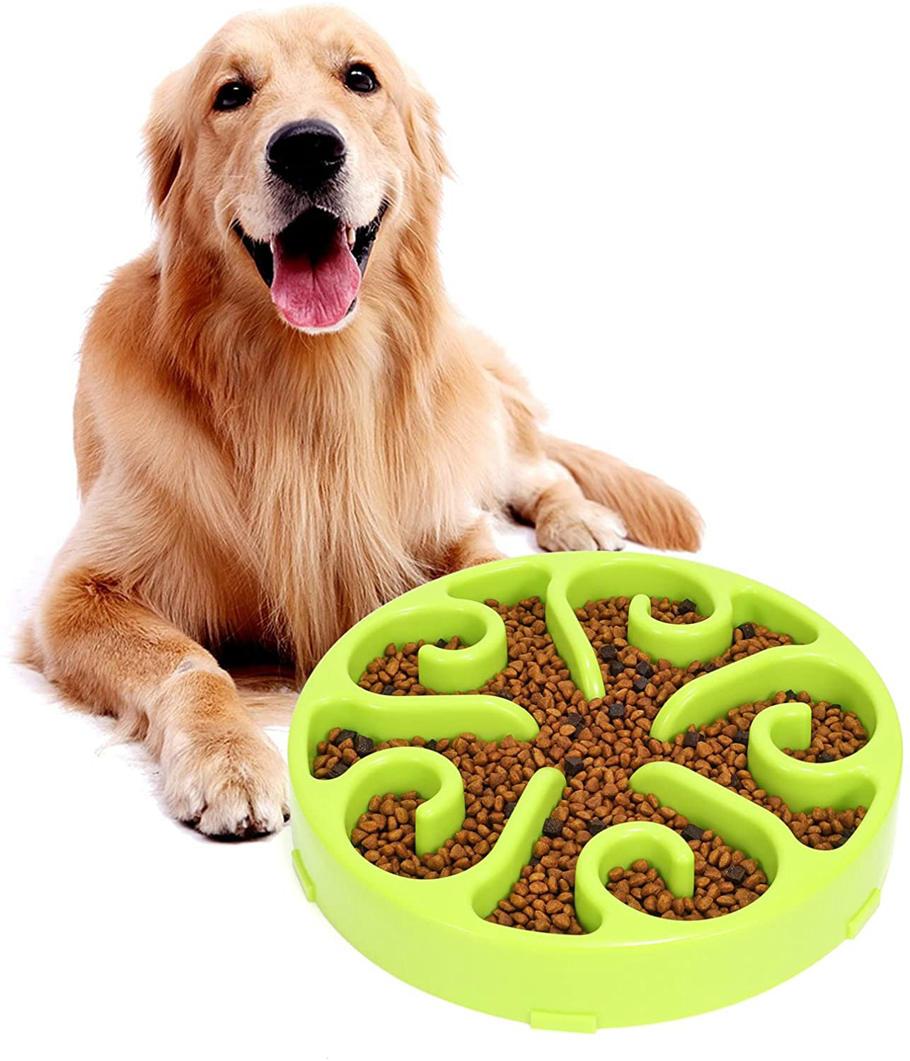 PetSafe Slow Feed Dog Bowl Prevents Bloat And Promotes, 48 OFF