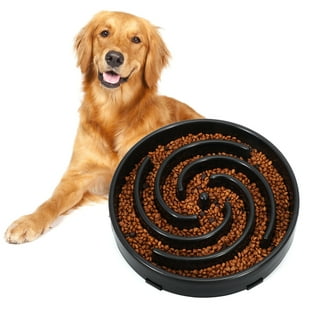 Mr. Peanut's Interactive Slow Feed Dog Bowl, Fun Healthy Bloat Stop Feeder  - Small