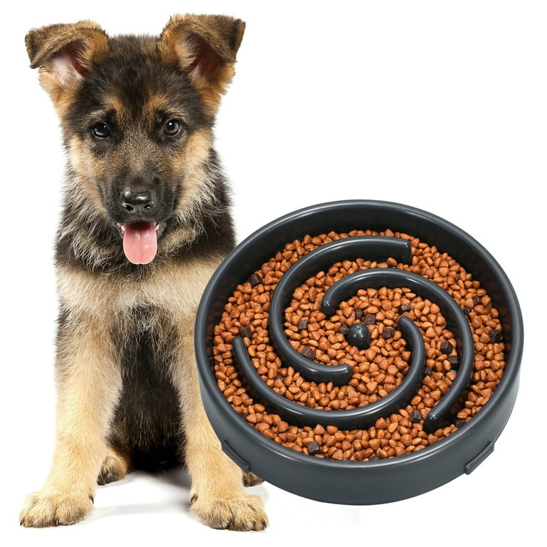 Slow Feeder Dog Bowls Dog Food Bowl Slow Feeder Prevent Choking