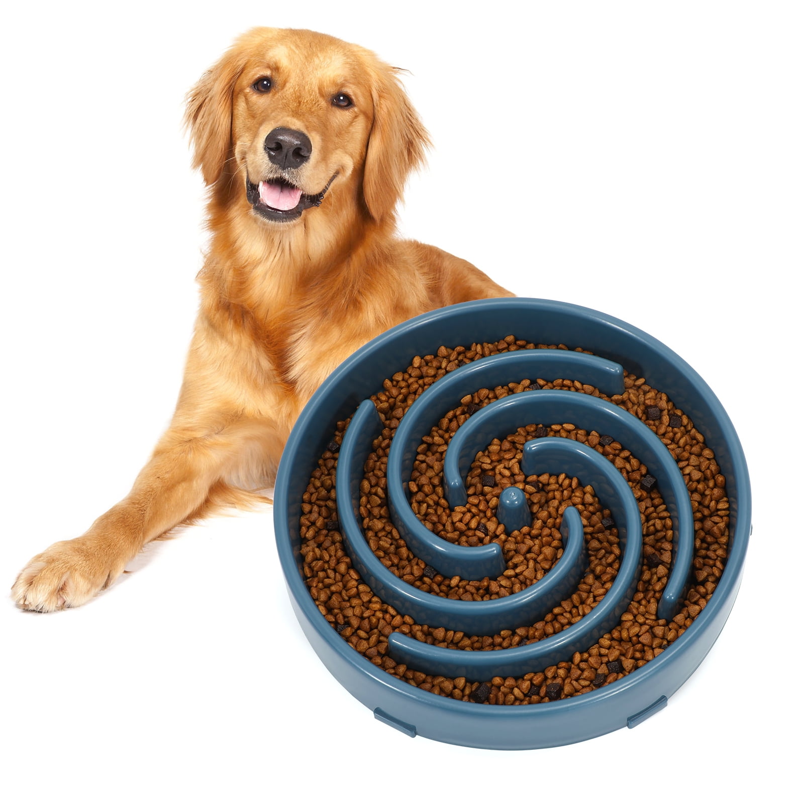WHIPPY Slow Feeder Dog Bowl, Pet Food Feeding Bowl, Preventing
