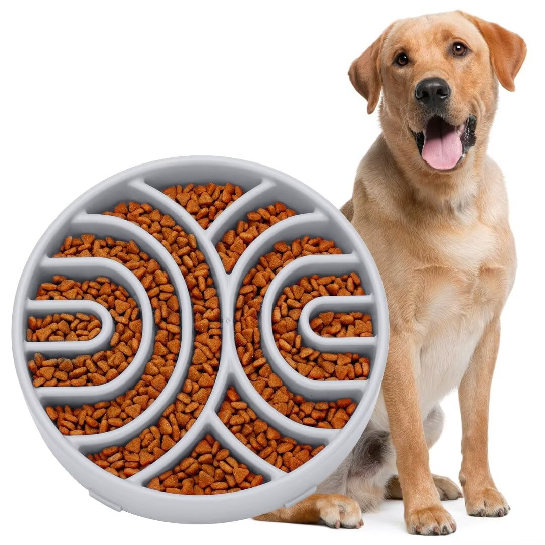 Slow Eating Maze Feeder For Dogs Slow Feeder Cat Bowl Slow Feeding