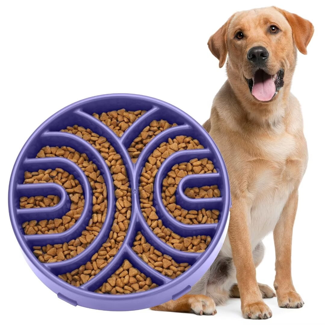 Fun Feeder Dog Feeder Slow Eating Outward Hound By Outward Hound