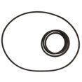 thumbnail image 1 of WHIRLPOOL 12112425 Belt Kit, Set Of 2, 1 of 1