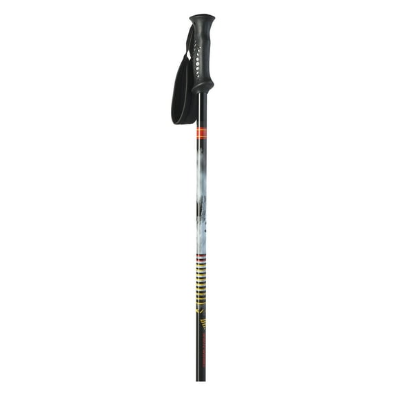 WHITEWOODS Adult Unisex Powder Multi Color Alpine Ski Poles, Size: 44 (POWDER-44)