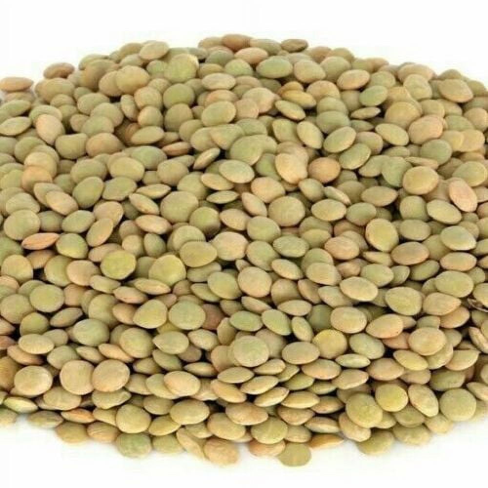 WHOLE GREEN LENTILS BEANS 1 LB