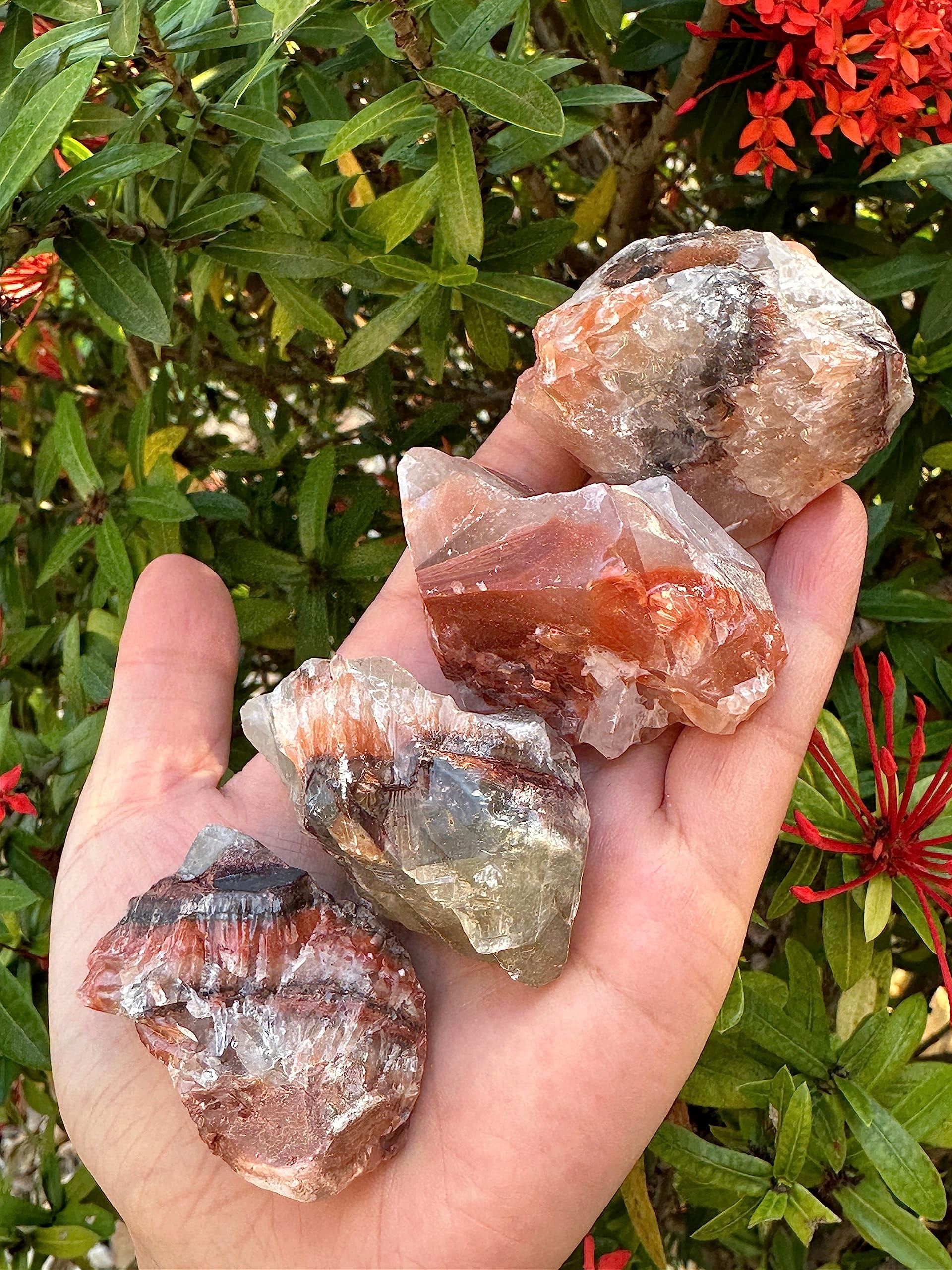 Red and Brown Calcite