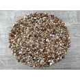 thumbnail image 1 of WHOLESALE Natural Semi Tumbled Crazy Lace Agate Gemstone Chips, Crushed Mini Crystals, Undrilled (Crazy Lace Agate, 0.25 Pound), 1 of 8