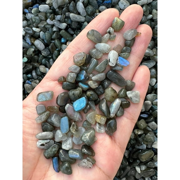 WHOLESALE Natural Semi Tumbled Labradorite Blue Gemstone Chips ( 2 oz / 0.125 lb )