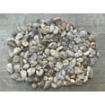 thumbnail image 1 of WHOLESALE Natural Semi Tumbled Spirit Quartz Gemstone Chips, Crushed Mini Crystals, Undrilled (Spirit Quartz, 5 Pounds), 1 of 8