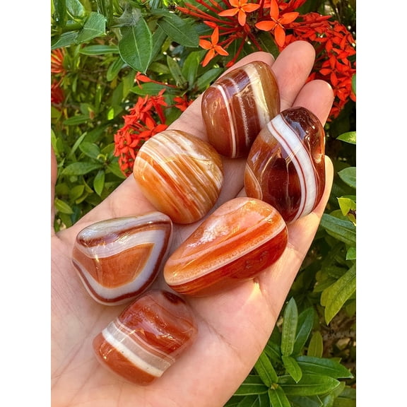 WHOLESALE Red Banded Agate Pebble, Large Red Banded Agate Tumbled Stone, Natural Polished Red Banded Agate Crystals (Red Banded Agate, 3 Pounds)