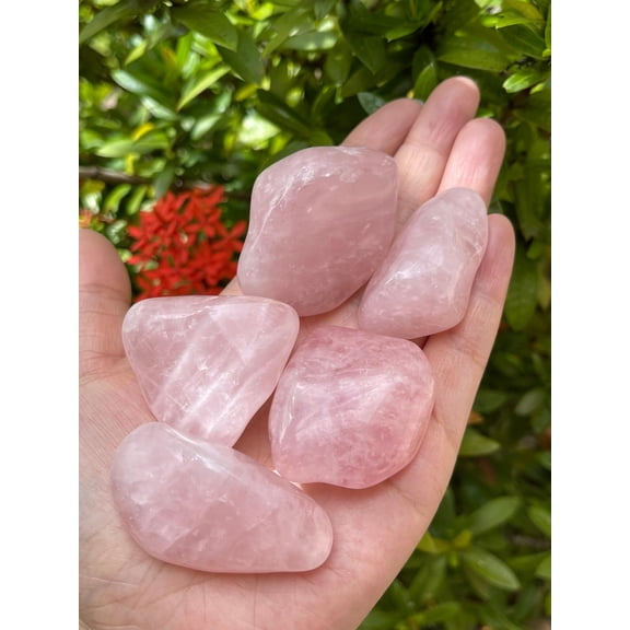WHOLESALE Rose Quartz Pebble, Large Rose Quartz Tumbled Stone, Natural Polished Rose Quartz Crystals (Rose Quartz, 3 Pounds)
