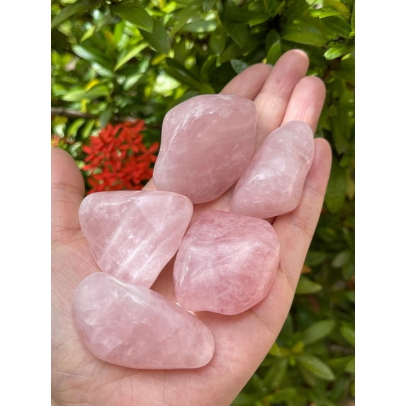 WHOLESALE Rose Quartz Pebble, Large Rose Quartz Tumbled Stone, Natural Polished Rose Quartz Crystals (Rose Quartz, 5 Pounds