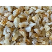 WHOLESALE Rough Citrine 0.5-1.25, Natural Small Citrine Point/Stone, Raw Citrine Healing Crystal Citrine Point, 10 Pound