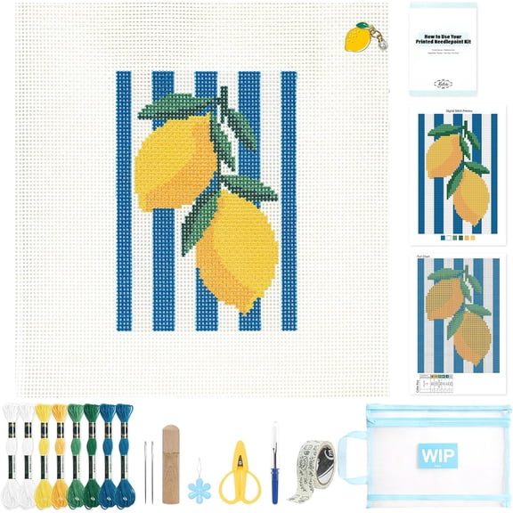 WHUDWHU 13 mesh Needlepoint Canvas Kit, 8 in Painted Canvas Set with Embroidery Floss, Needles, Guide Card, Instruction, Threader, Scissors & Project Bag for Crafter Gift(Lemon)