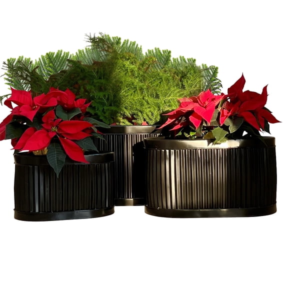 WHW Whole House Worlds French Country Style Oval Planters, Set of 3, Glossy Black, Galvanized Metal, Chubby Belly, Corrugated Cache Pots, Rustic, Over 2 ft., 24.5, 20 and 14.5 Inches