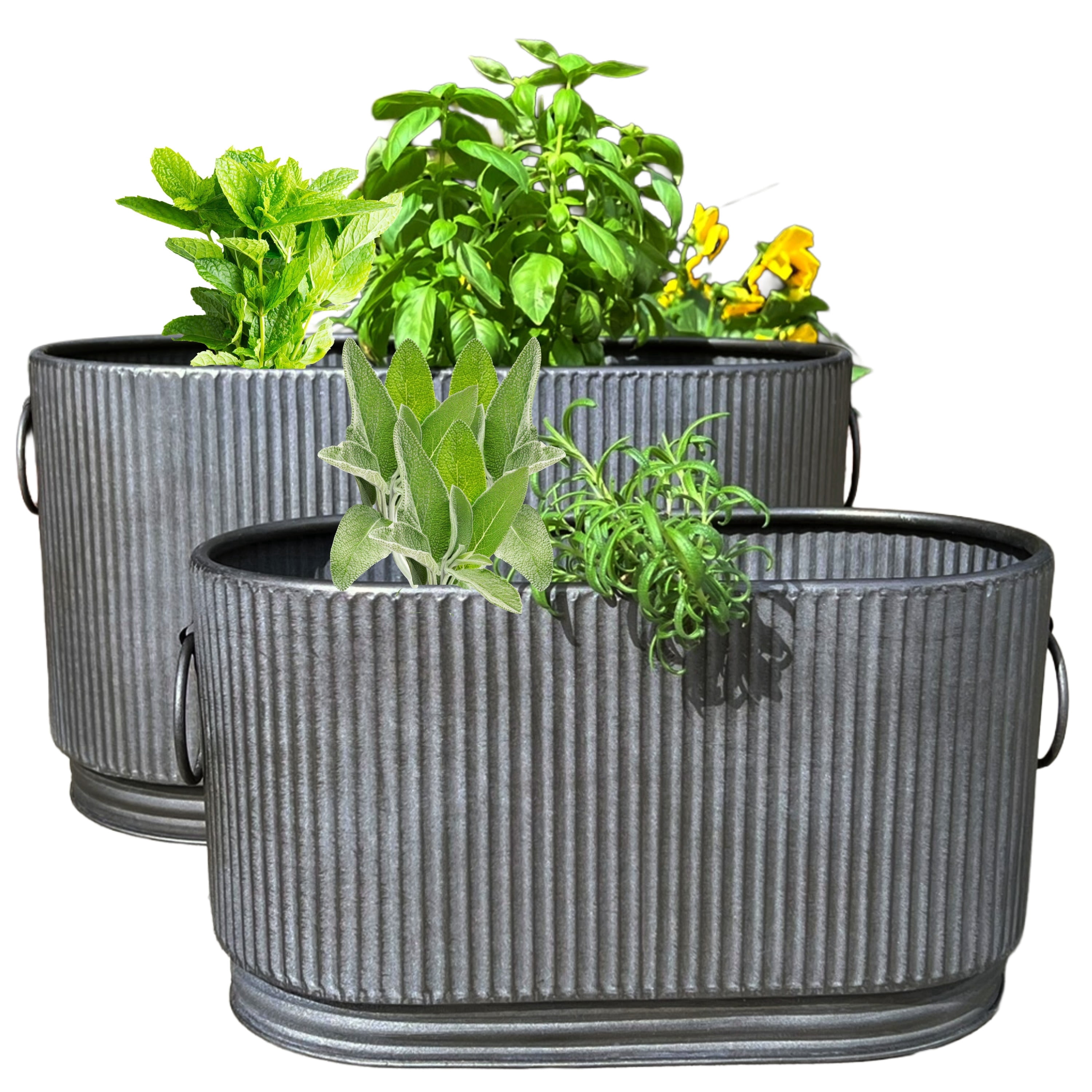 WHW Whole House Worlds French Country Style Oval Planters, Set of 2, Corrugated Bellies, Stepped Base, Rolled Rims, 14.25 and 18.5 Inches, Iron