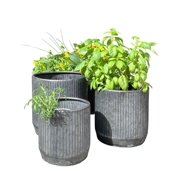 WHW Whole House Worlds Rustic Round Planters, Set of 3, Corrugated Bellies, 8.75, 7.75, and 6.75, Galvanized Grey Patina Over Iron