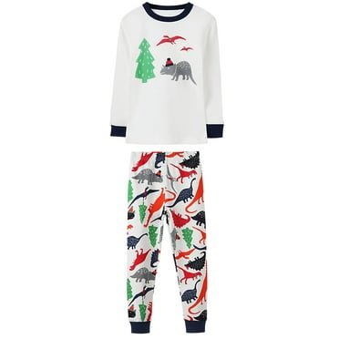 WIBACKER 2-7 Years Toddler and Little Boys' Long Sleeve Top and Pants Snug Fit 100% Cotton 2 Piece Pajama Set - Dinosaur