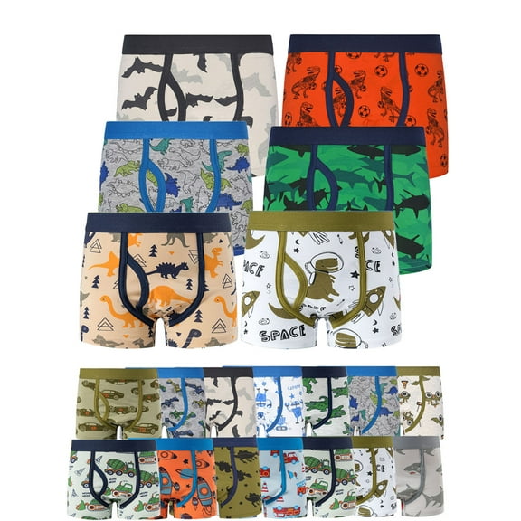 WIBACKER 6-Pack Boys' Cotton Boxer Underwear Toddler Little Kid Cartoon Dinosaur Multipacks Briefs, Color Romdon