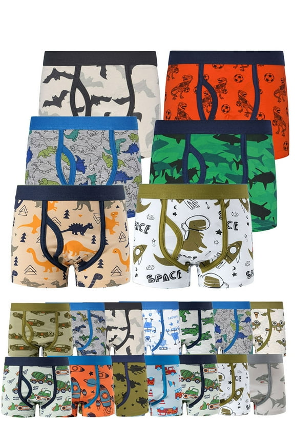 6-Pack Boys' Cotton Boxer Underwear Toddler Little Kid Cartoon Dinosaur Multipacks Briefs, Color Romdon