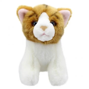 WILBERRY MINIS: CAT (GINGER)