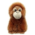 thumbnail image 1 of WILBERRY MINIS: ORANGUTAN, 1 of 4
