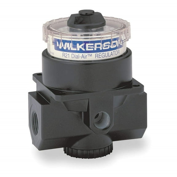 WILKERSON General Purpose Air Regulator R21-02-000