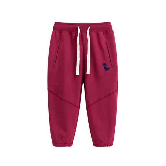 WILLBEST Girls Clothes Dinosaur Print Boys' Athletic Pants Kids' Sporty Long Trousers for Toddlers