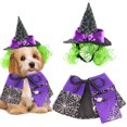 thumbnail image 1 of WILLED Dog & Cat Halloween Costume, Purple Witch Cloak and Hat Set with Spider Web Pattern, Green Wig, and Purple Bow, Comfortable Soft Fabric, Perfect for Halloween Parties Cosplay and Photo Props, 1 of 6