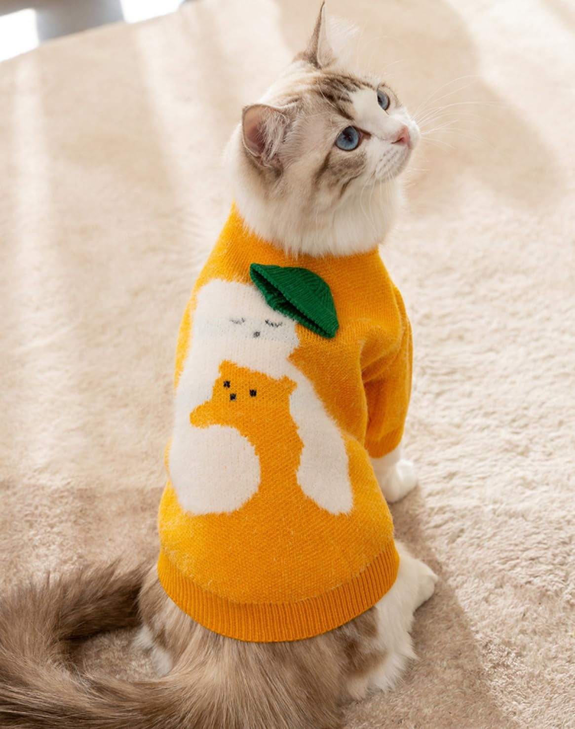 WILLED Pet Sweaters Cat Dog Sweater Dog Sweatshirt Dog Hoodie Coat willed-pet-sweaters-cat-dog-sweater-dog-sweatshirt-dog-hoodie-coat