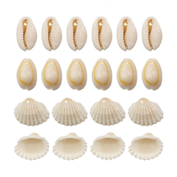 WINDLAND 1 Set Beach Conch Shells with Hole Natural Shell Beads Crafting Supplies