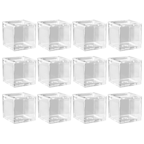 WINDLAND 12 Pcs Small Acrylic Box Christmas Gift Packing Box Clear Candy Containers