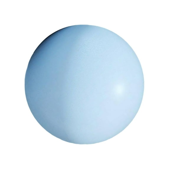 WINDLAND 25cm Physical Therapy and Balance Exercise Ball 25cm 10Inch Soft Pilates Ball