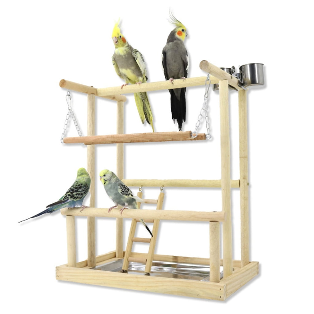 Illustration of Macaw Bird Playstands And Toys