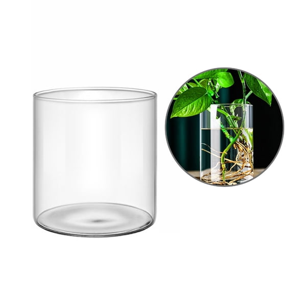 WINDLAND Clear Glass Cylinder Vase Multiple Size Flower Vase Hydroponic Flower Container