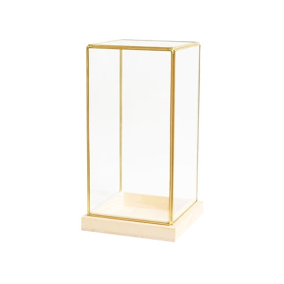WINDLAND Collectible Glass Display Case Display Case for Collectibles Display Box Decorative Craft for Homes and Office