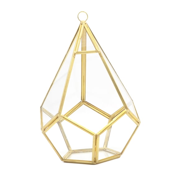 WINDLAND Five-sided Rhombus Geometric Glass Container Desktop Succulent Garden Flower Pot