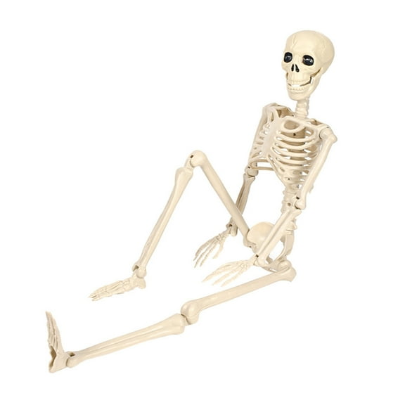 WINDLAND Halloween Decoration Human Full Body Skeleton with Poseable Limbs for Display