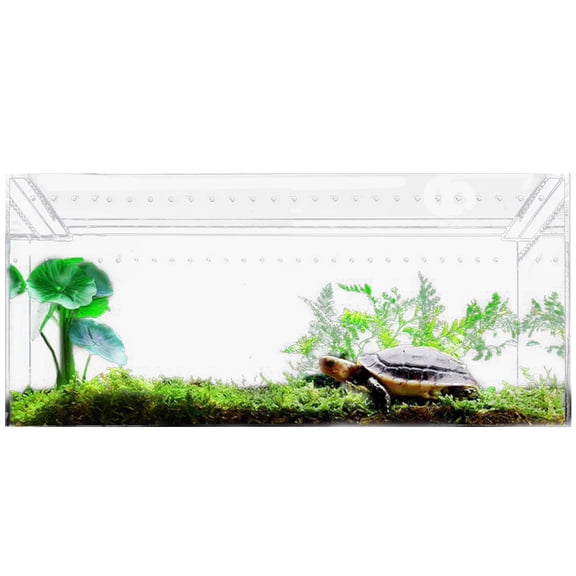 WINDLAND Magnetic Acrylic Case Arboreal Tarantula Enclosure Reptile Habitat Terrarium