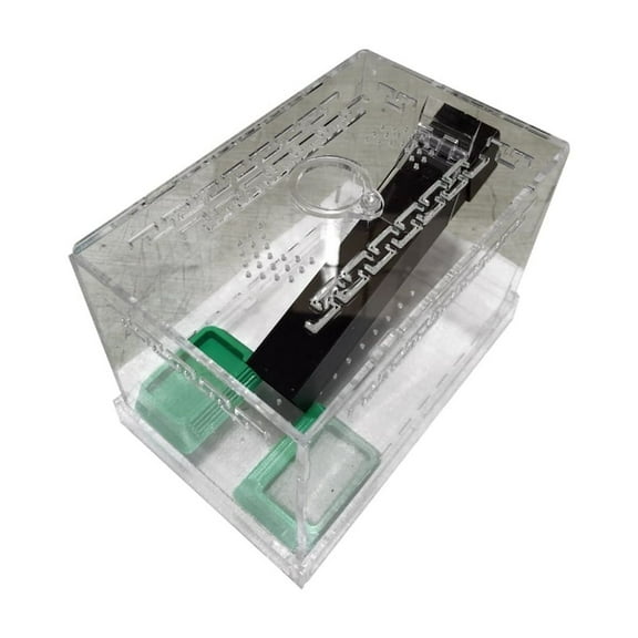 WINDLAND Plastic Keeper Tanks with Removable Base and Double Feeding Stations