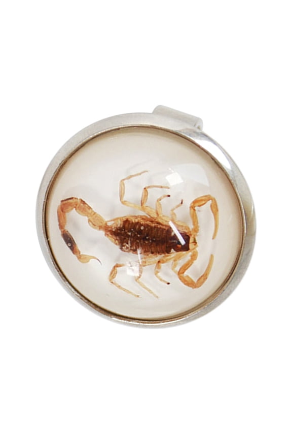 Round Shaped Charm Rings Fashion Opening Rings Unisex Scorpion Accessories Trendy Jewelry Collection Unique Gift Option