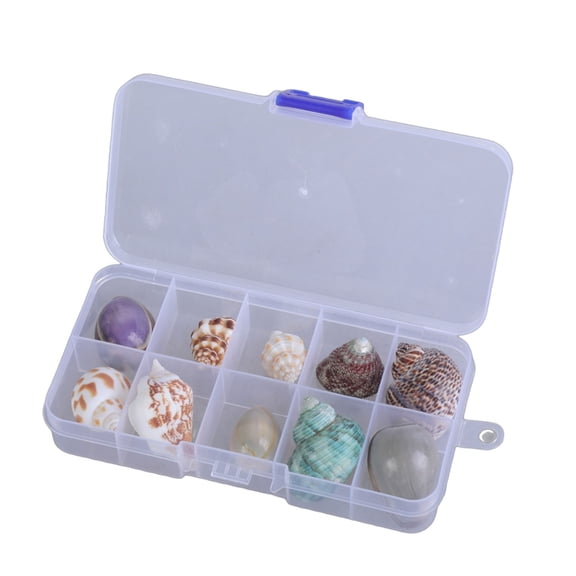 WINDLAND Seashells Display Storage Box New Square Transparents Clear Shadows Box